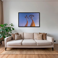 Charger l&#39;image dans la galerie, Dicotoma tortueux
