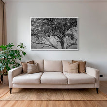 Charger l&#39;image dans la galerie, Leadwood Lady
