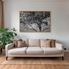 Charger l&#39;image dans la galerie, Leadwood Lady
