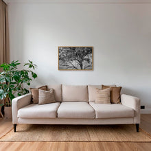 Charger l&#39;image dans la galerie, Leadwood Lady
