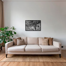 Charger l&#39;image dans la galerie, Leadwood Lady
