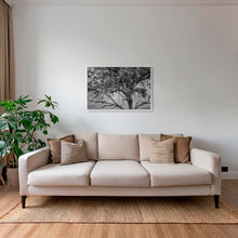 Charger l&#39;image dans la galerie, Leadwood Lady
