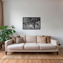 Charger l&#39;image dans la galerie, Leadwood Lady
