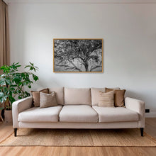 Charger l&#39;image dans la galerie, Leadwood Lady
