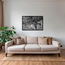 Charger l&#39;image dans la galerie, Leadwood Lady
