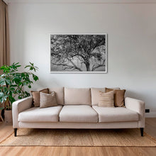 Charger l&#39;image dans la galerie, Leadwood Lady
