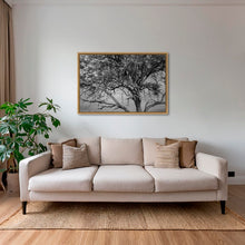 Charger l&#39;image dans la galerie, Leadwood Lady
