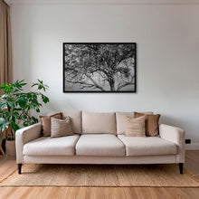 Charger l&#39;image dans la galerie, Leadwood Lady
