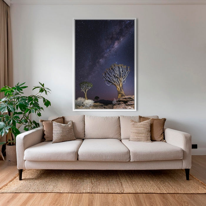 Aloés sous les étoiles