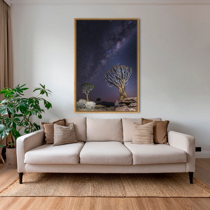 Aloés sous les étoiles