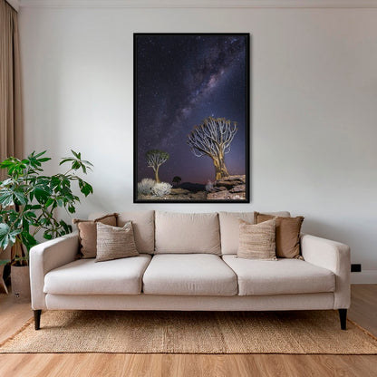 Aloés sous les étoiles