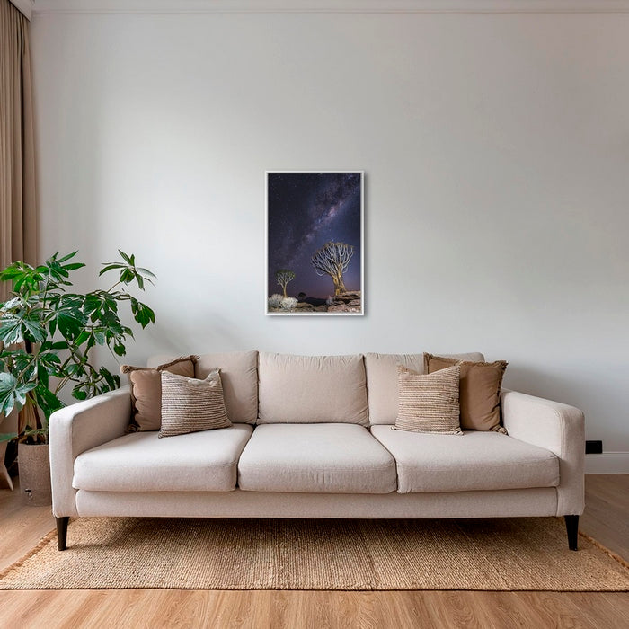 Aloés sous les étoiles