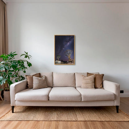 Aloés sous les étoiles