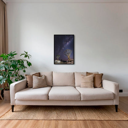 Aloés sous les étoiles