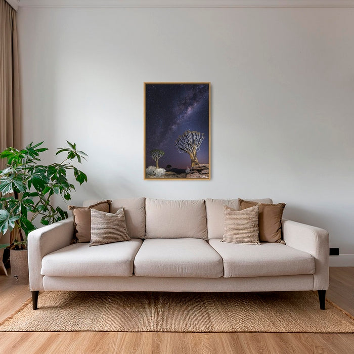 Aloés sous les étoiles