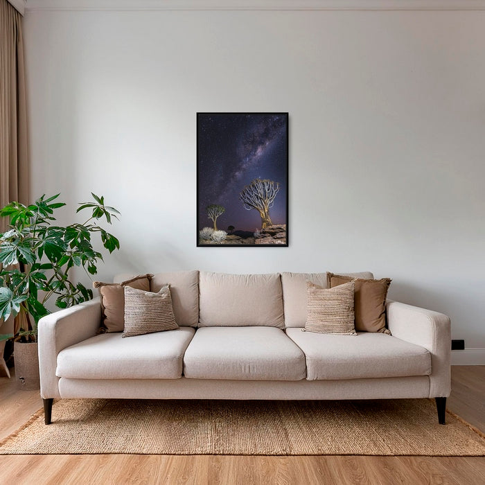 Aloés sous les étoiles