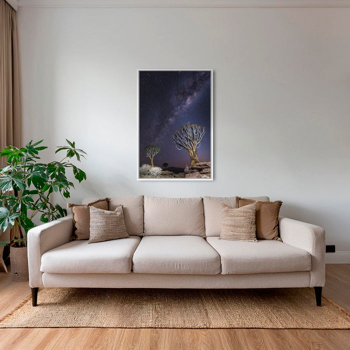 Aloés sous les étoiles