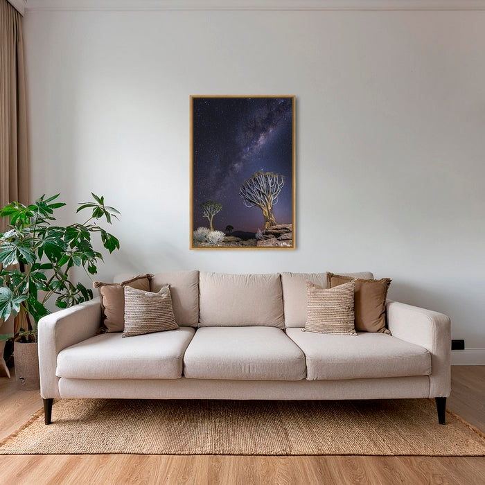 Aloés sous les étoiles