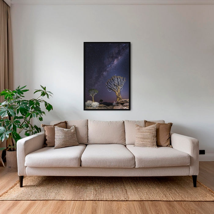 Aloés sous les étoiles