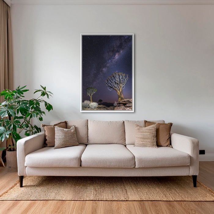 Aloés sous les étoiles