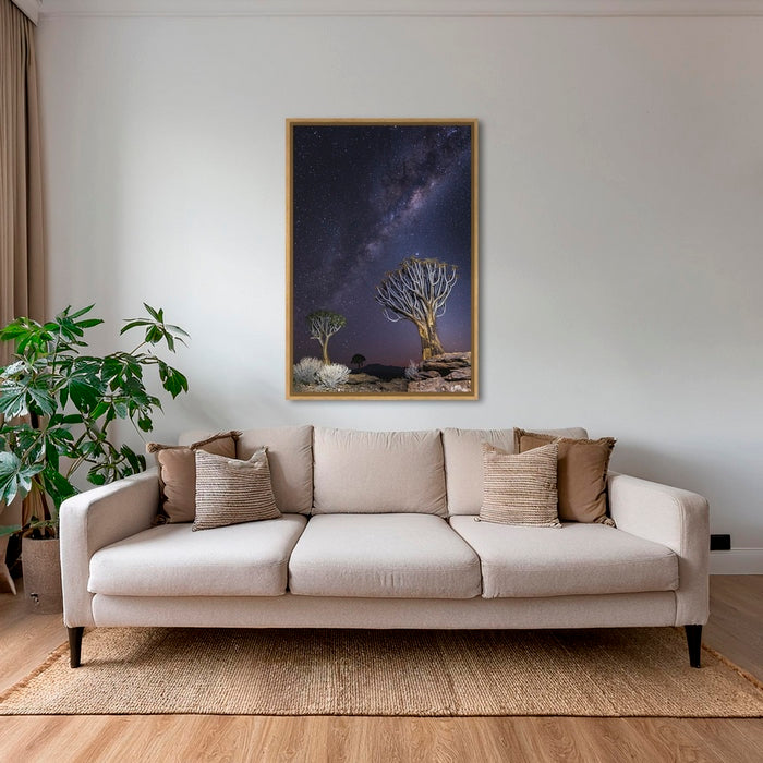 Aloés sous les étoiles