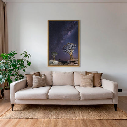 Aloés sous les étoiles