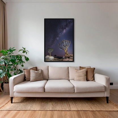 Aloés sous les étoiles