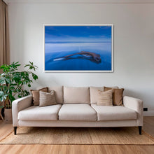 Charger l&#39;image dans la galerie, Flotté à l&#39;heure bleue
