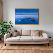 Charger l&#39;image dans la galerie, Flotté à l&#39;heure bleue
