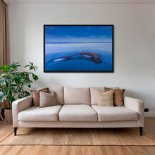 Charger l&#39;image dans la galerie, Flotté à l&#39;heure bleue
