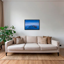 Charger l&#39;image dans la galerie, Flotté à l&#39;heure bleue
