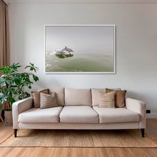 Charger l&#39;image dans la galerie, Delphinus duo
