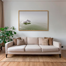 Charger l&#39;image dans la galerie, Delphinus duo
