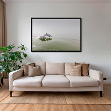 Charger l&#39;image dans la galerie, Delphinus duo
