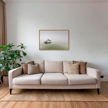 Charger l&#39;image dans la galerie, Delphinus duo
