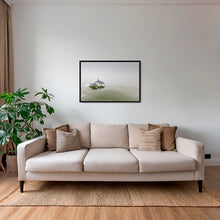 Charger l&#39;image dans la galerie, Delphinus duo
