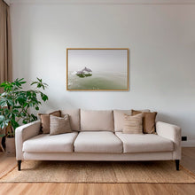 Charger l&#39;image dans la galerie, Delphinus duo
