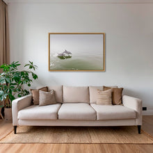 Charger l&#39;image dans la galerie, Delphinus duo
