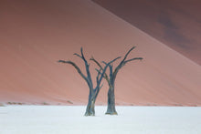 Charger l&#39;image dans la galerie, Duo
