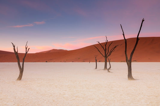 Douceur du Deadvlei