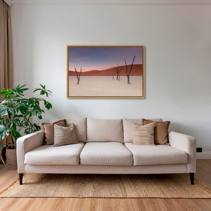Douceur du Deadvlei