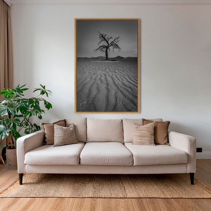 Solitude du désert 2