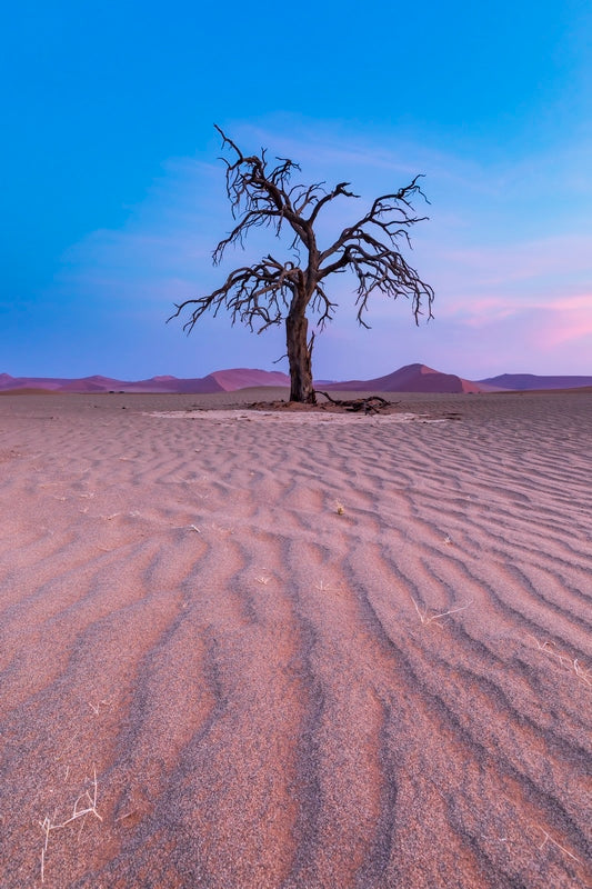 Solitude du désert