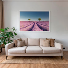 Charger l&#39;image dans la galerie, Lavandes du matin
