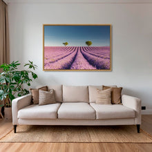 Charger l&#39;image dans la galerie, Lavandes du matin
