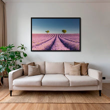 Charger l&#39;image dans la galerie, Lavandes du matin
