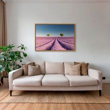 Charger l&#39;image dans la galerie, Lavandes du matin
