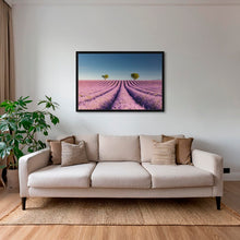 Charger l&#39;image dans la galerie, Lavandes du matin
