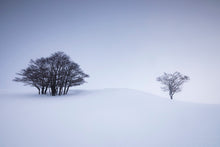 Charger l&#39;image dans la galerie, En quarantaine
