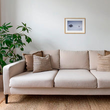 Charger l&#39;image dans la galerie, En quarantaine
